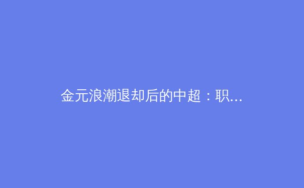 金元浪潮退却后的中超：职业化进程中的阵痛与新生 - 2